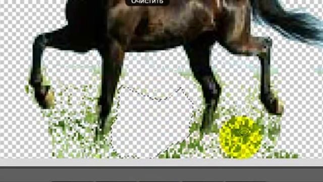 Как удалить или заменить фон на фотографии Программа Photo editor online смотреть онлайн