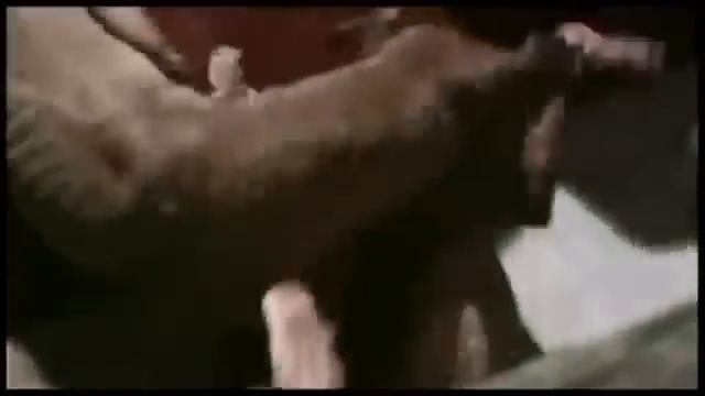 Pitbull Carnival (documentary) смотреть онлайн