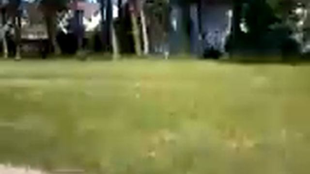 point de vue 12 eme prise смотреть онлайн