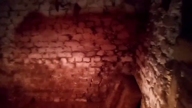 В сарае у знакомых. Покупаем дробилку. смотреть онлайн