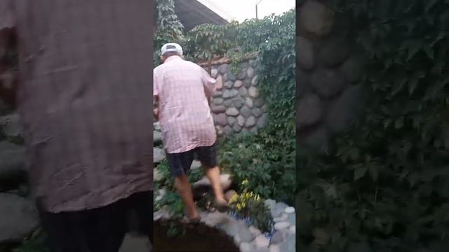 Туземец закопал деньги полил их и вырасло денежное дерево,я повторил но у меня выросли х... смотреть онлайн