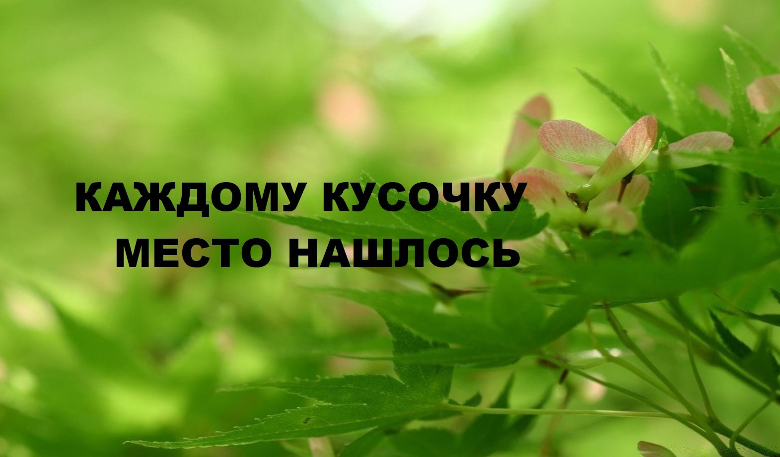 Переработка остатков.(2023г) смотреть онлайн