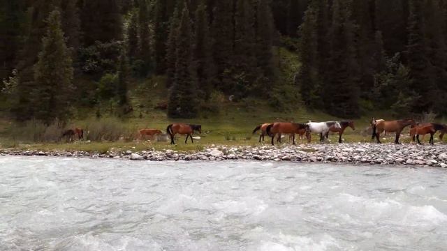 nature of kyrgyzstan. Замечательная природа в Киргизии смотреть онлайн