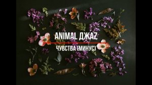 Animal ДжаZ – Чувства (минус)