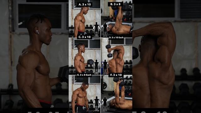 Train Your Arms With Dumbbells Only! | Biceps & Triceps смотреть онлайн