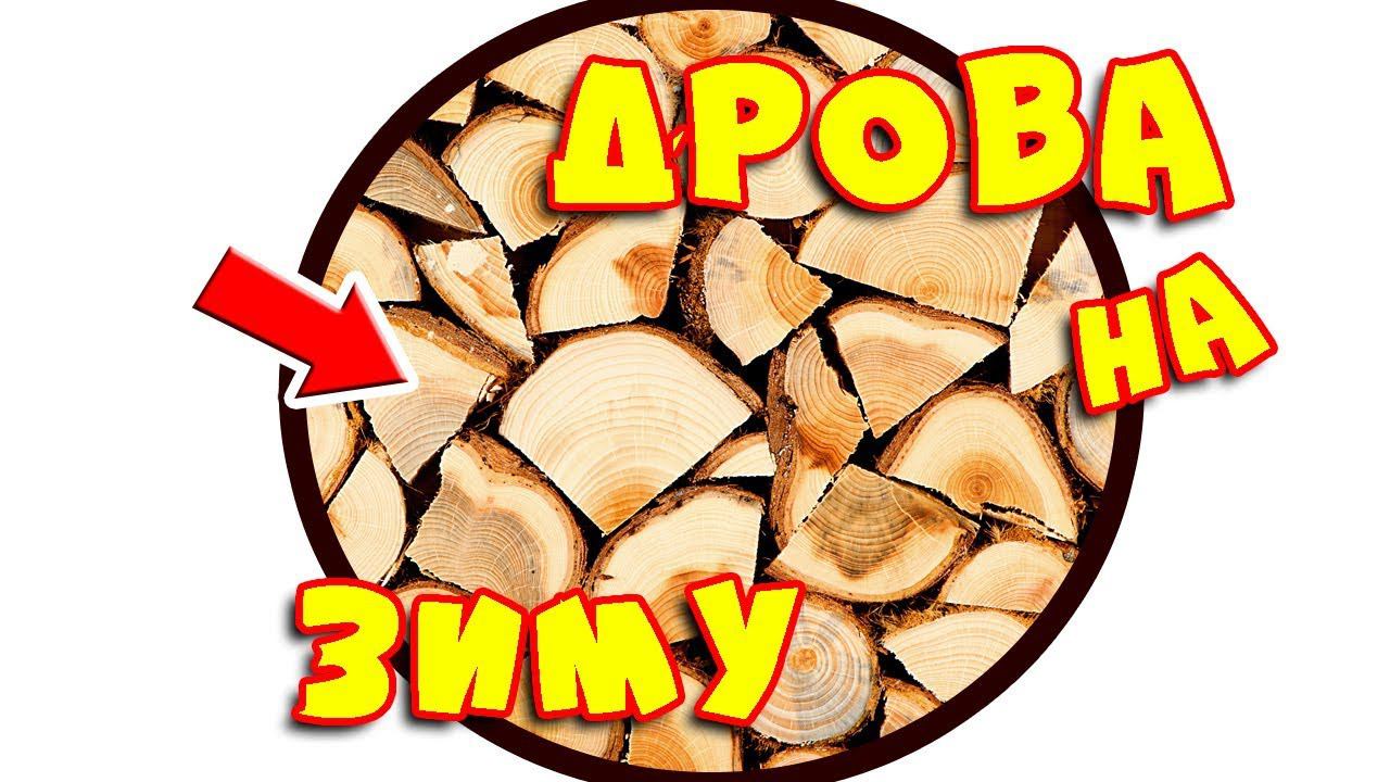 ДРОВА НА ЗИМУ: купила 6 КУБОВ обрезков для ОТОПЛЕНИЯ дома в деревне смотреть онлайн