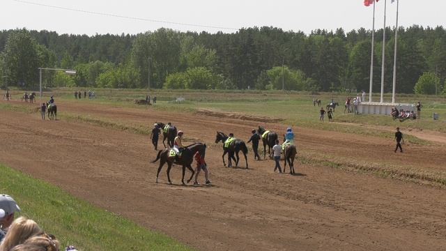 H2320031 смотреть онлайн