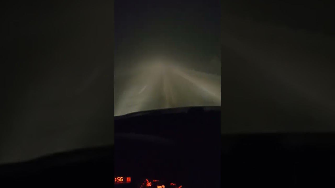 Дорога Долина Славы ёжик в тумане 21.11.2022г смотреть онлайн