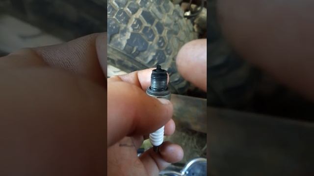 Смотрим нагар свечи в мопеде Альфа после насторйки карбюратора. смотреть онлайн