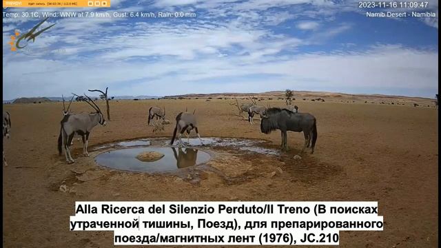 Кейдж ориксы антилопы гну + смотреть онлайн