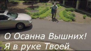 Поклонюсь Тебе! Соколов