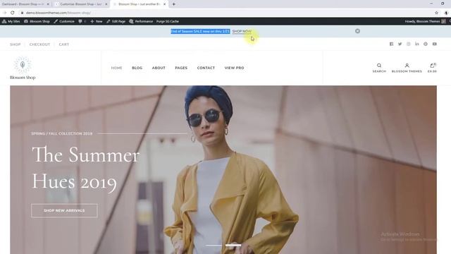 How to Configure Header Items | Blossom Shop WordPress Theme смотреть онлайн