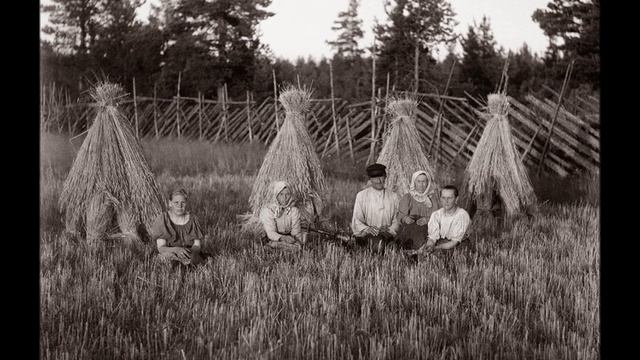 Александр Жданов. ВЫШЛА ДЕВУШКА смотреть онлайн