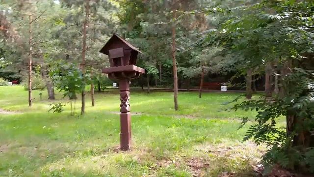 Москва. Парк Серебряный бор. Лето 2016 г смотреть онлайн