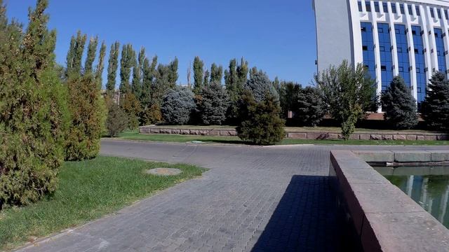 Ёлки в Таразе смотреть онлайн