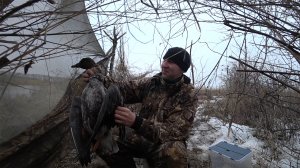 Охота на гуся 2022 столько гусей я еще не видел