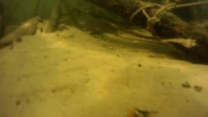 Бронекатер на дне Волги