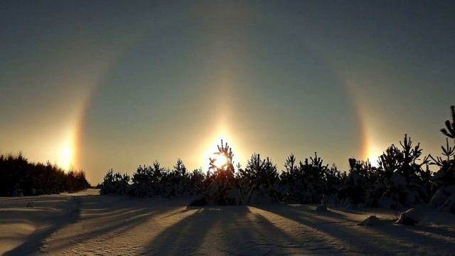 ЖИЗНЬ НА НОВОЙ ЗЕМЛЕ (РАЗНИЦА ИНТЕРЕСОВ) смотреть онлайн