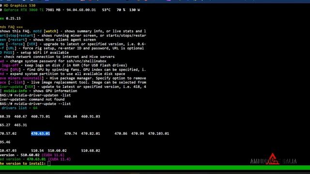Cómo actualizar driver Nvidia en HiveOs - T-RexMiner desbloqueo RTX LHR смотреть онлайн
