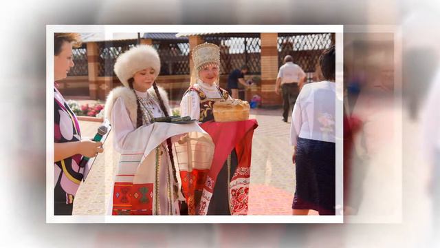 эльвира смотреть онлайн