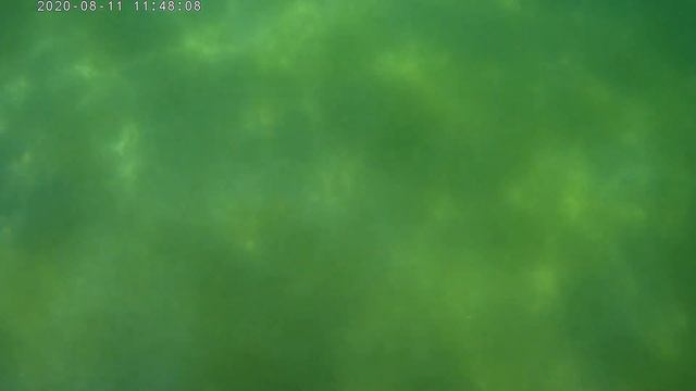 Чёрное море, Анапа, Краснодарский край, Август 2020.??☀️??. смотреть онлайн