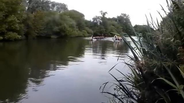 Style Acre Dragons Winning Race смотреть онлайн