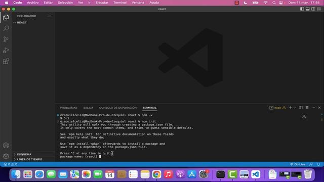 Clase 15 - Npm para iniciar el proyecto React смотреть онлайн