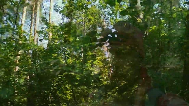 Грибное_Сафари новый лес разведка. Лисичка и белый дубовый гриб. смотреть онлайн