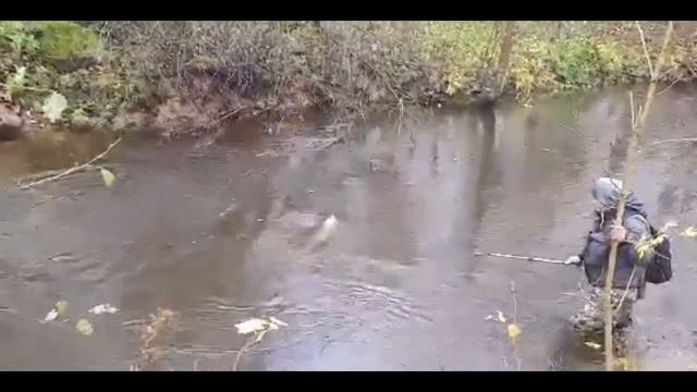 Jägala 2021 sügis смотреть онлайн