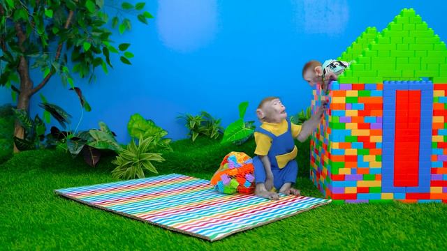 KiKi Monkey Has Fun At The Water Park And Play With Waterslides | KUDO ANIMAL KIKI