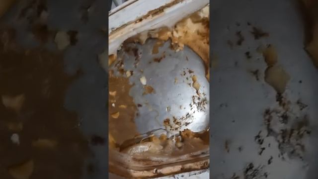 Чёрный обзор водонагревателя Zanussi с сухими тенами и нержавеющим баком!)))) смотреть онлайн