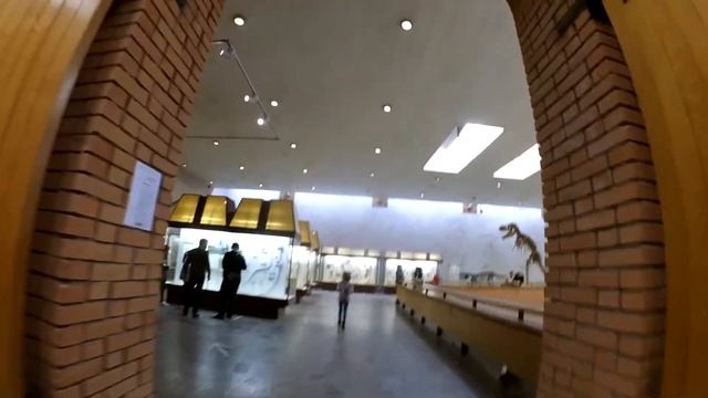Палеонтологический музей смотреть онлайн