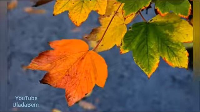 Праздники октября. День Макоши смотреть онлайн