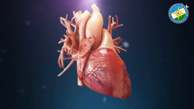 ОПАСНОСТИ ЖАРЫ ТЕПЛОВОЙ И СОЛНЕЧНЫЙ УДАР смотреть онлайн