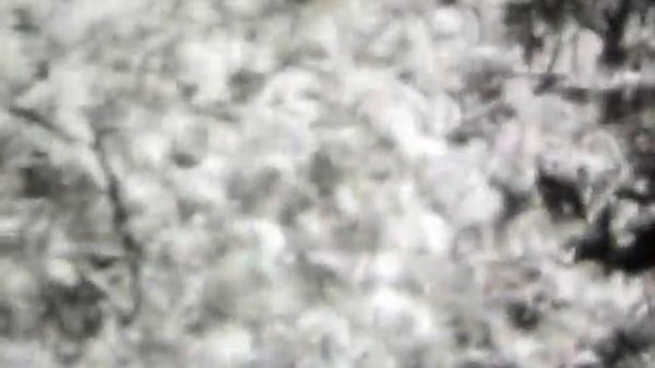 USSR boy scouts camp,Uzbekistan, Tashkent, 1972, Узбекистан Ташкент Пионерский Лагерь Титова