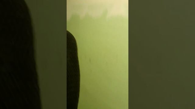 Заход с лигерадом Rinzler домой смотреть онлайн