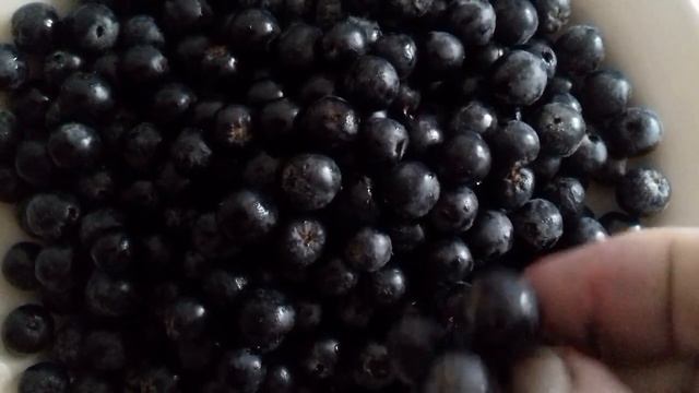 Заготавливаем черноплодку! Это необходимый кладезь для иммунитета! Готовимся к зиме! смотреть онлайн