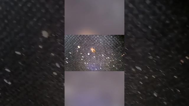 Клопы, которые живут в твоей кровати смотреть онлайн