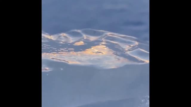Снег во сне смотреть онлайн