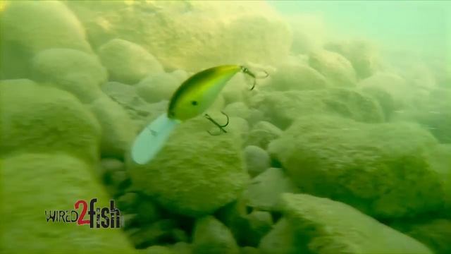 7 Must-Know Deep Diving Crankbait Tips for Big Bass смотреть онлайн