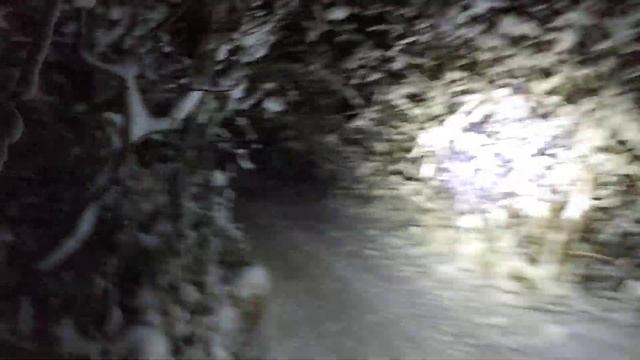 Adventure 250 05.01.2021 продолжение 2