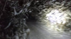 Adventure 250 05.01.2021 продолжение 2