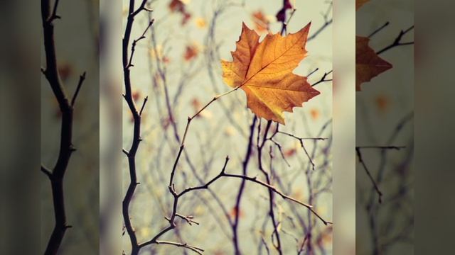 Христианская осеняя песня «Лето растворяется в дожде». смотреть онлайн