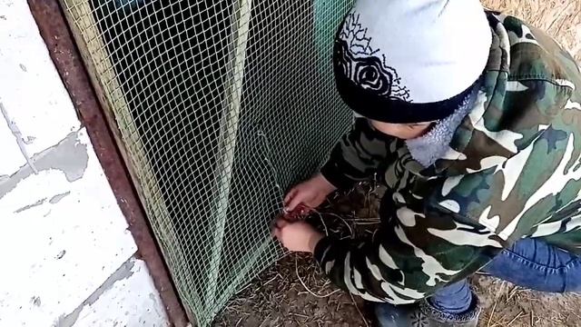 ?Деревенские хлопоты?Телята/Гараж/Дети. смотреть онлайн