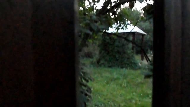 Сверчки на даче (август 2010) смотреть онлайн