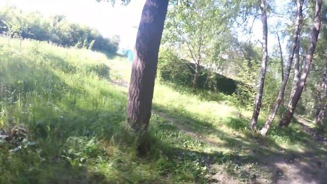 На квадроцикле в лесу смотреть онлайн