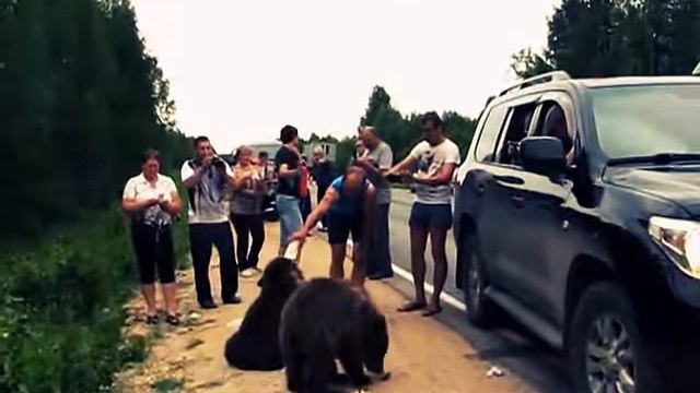 Hand bears and wild people on the road "Ukhta-Syktyvkar." смотреть онлайн