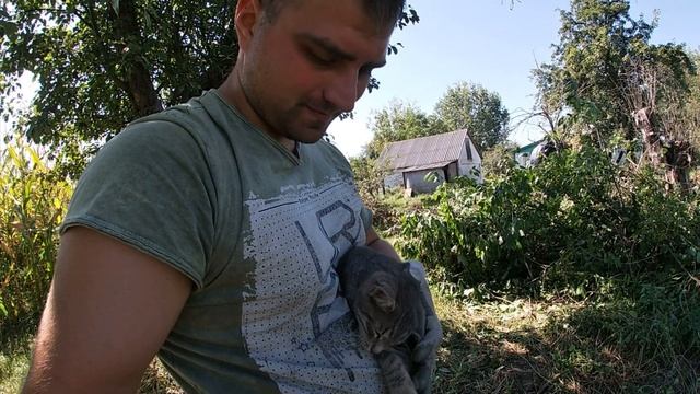 НАКОНЕЦТО !! убрал кусты, очистил участок - жарим шашлычок | ЖИЗНЬ В СЕЛЕ, #изгородавсело смотреть онлайн