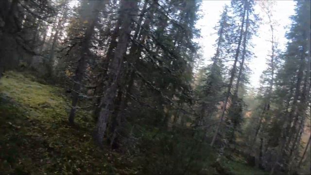 KorpiKorsu 2020 смотреть онлайн