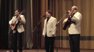 Васильки - трио РЕЛИКТ, 2014